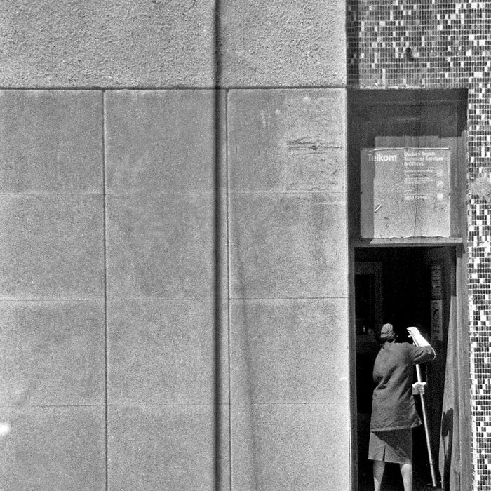 This diptych is inspired by American photographer, Gordon Parks. A photograph of Ella Watson standing with a broom and a mop in front of the American flag (ii)