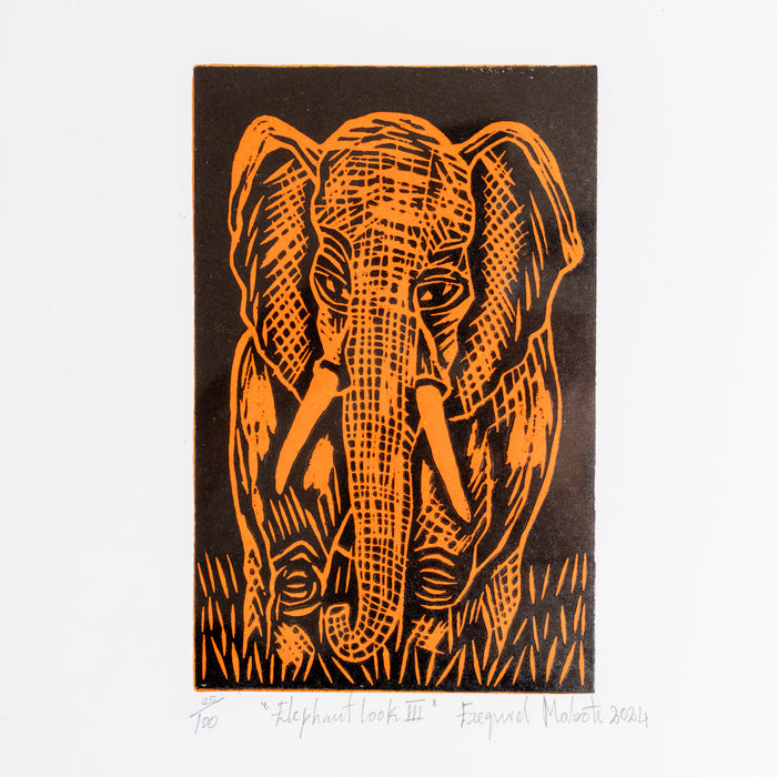 Elephant Look III