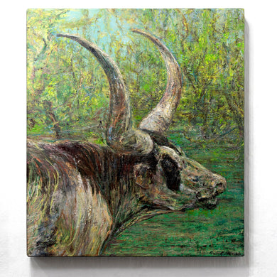 Watusi 1