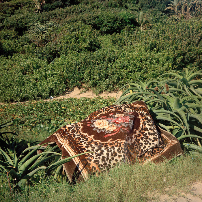 Ingubo