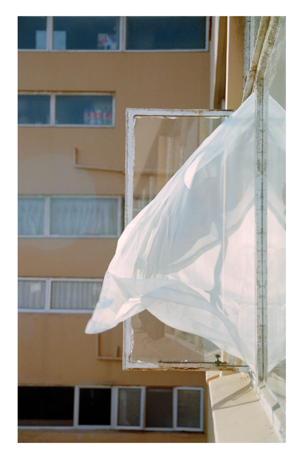 Untitled, Summer